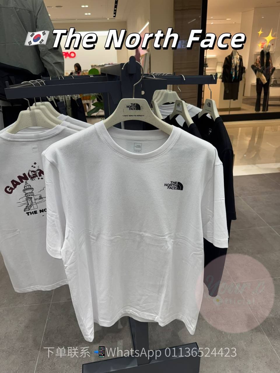 The North Face 2