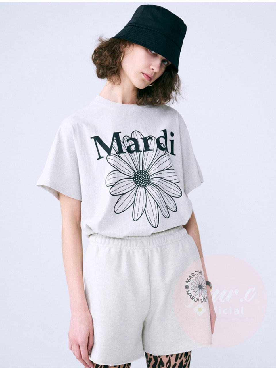 Mardi 小雏菊 4