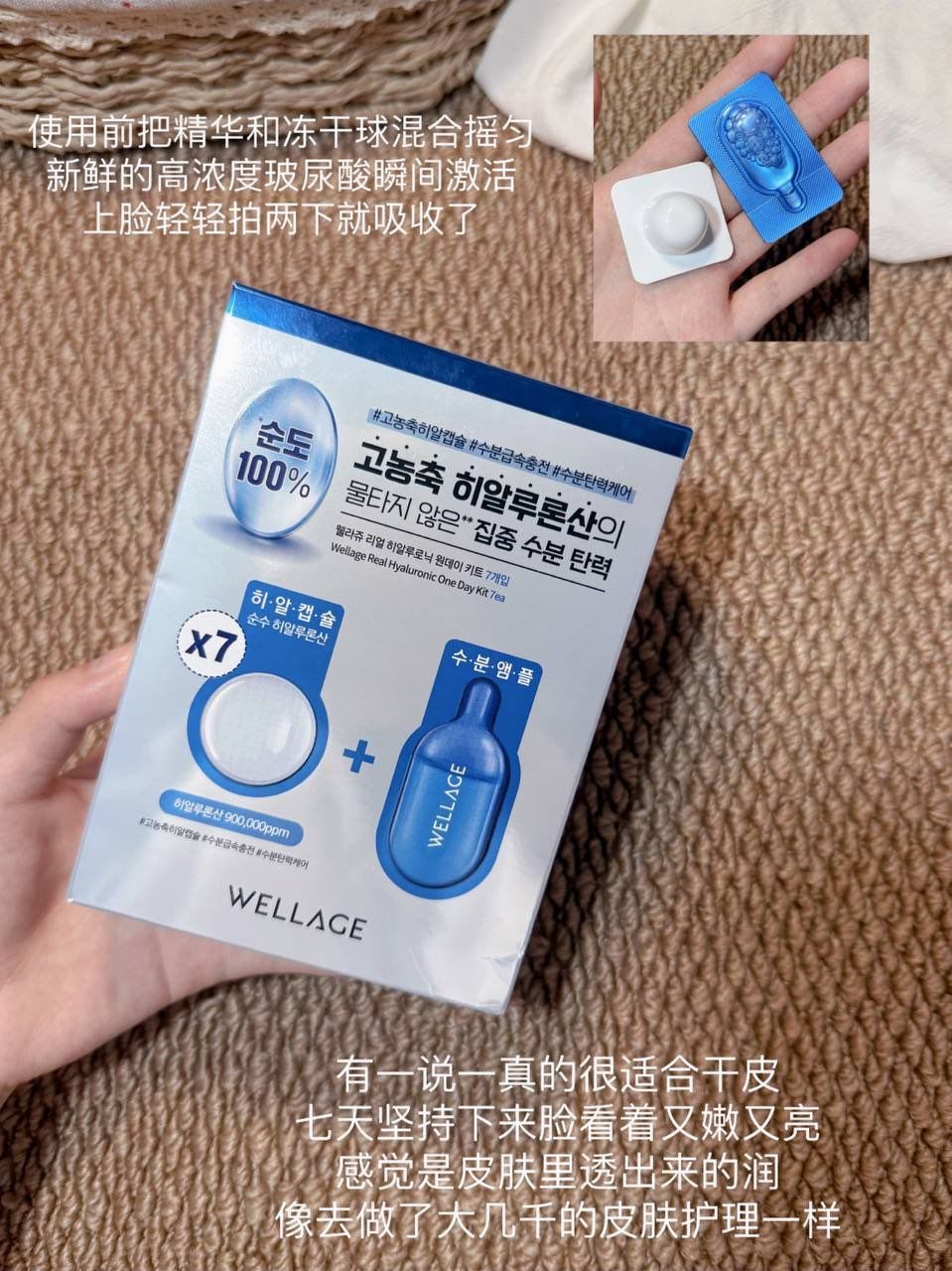 💜 Wellage One Day Kit 单盒 3