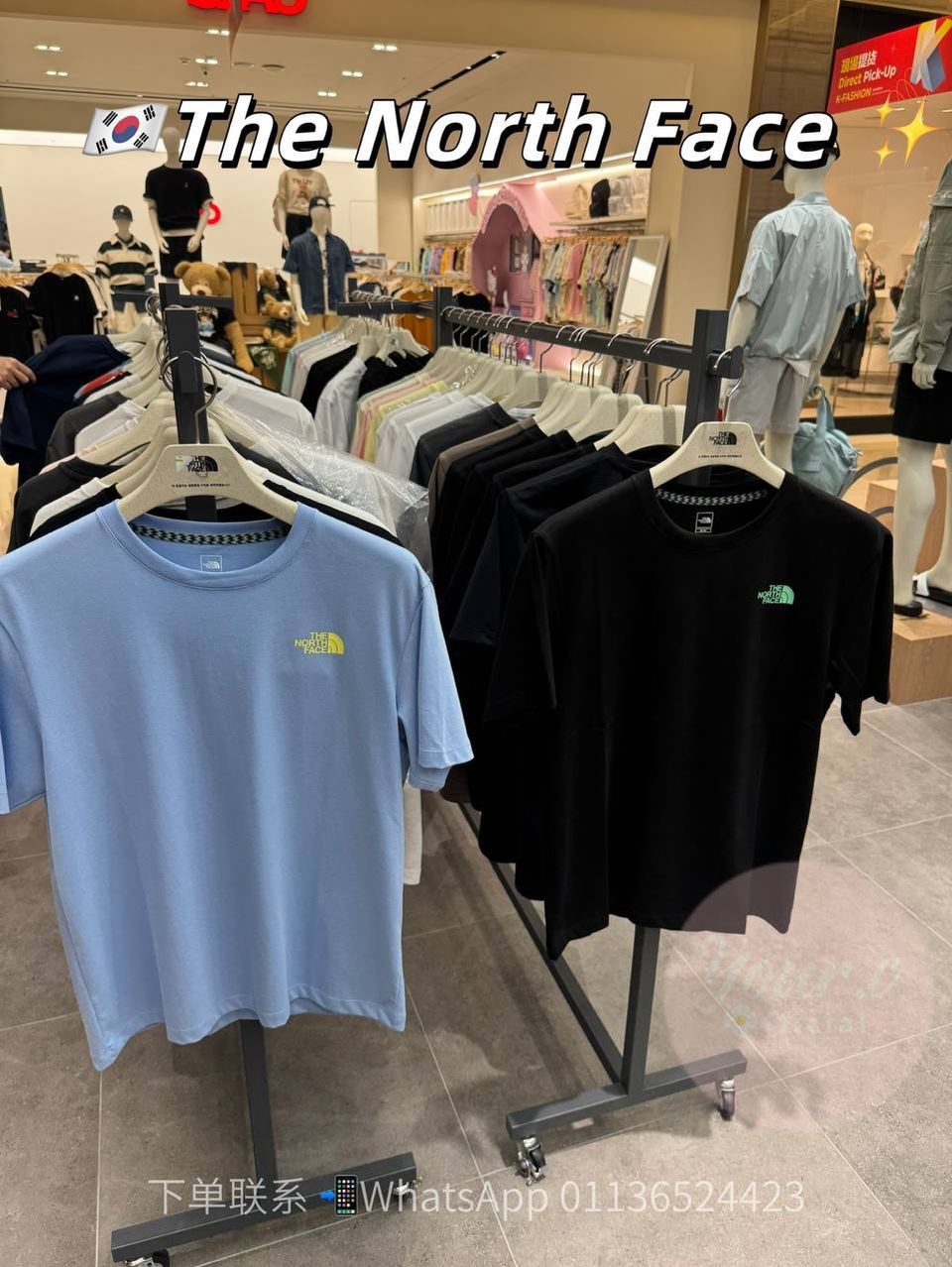 The North Face 2