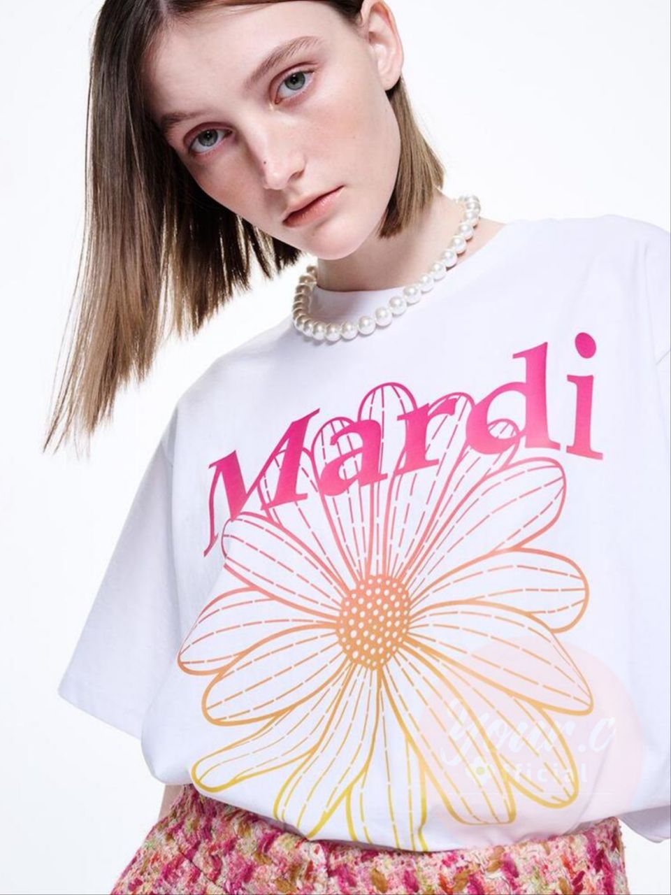Mardi 小雏菊 2