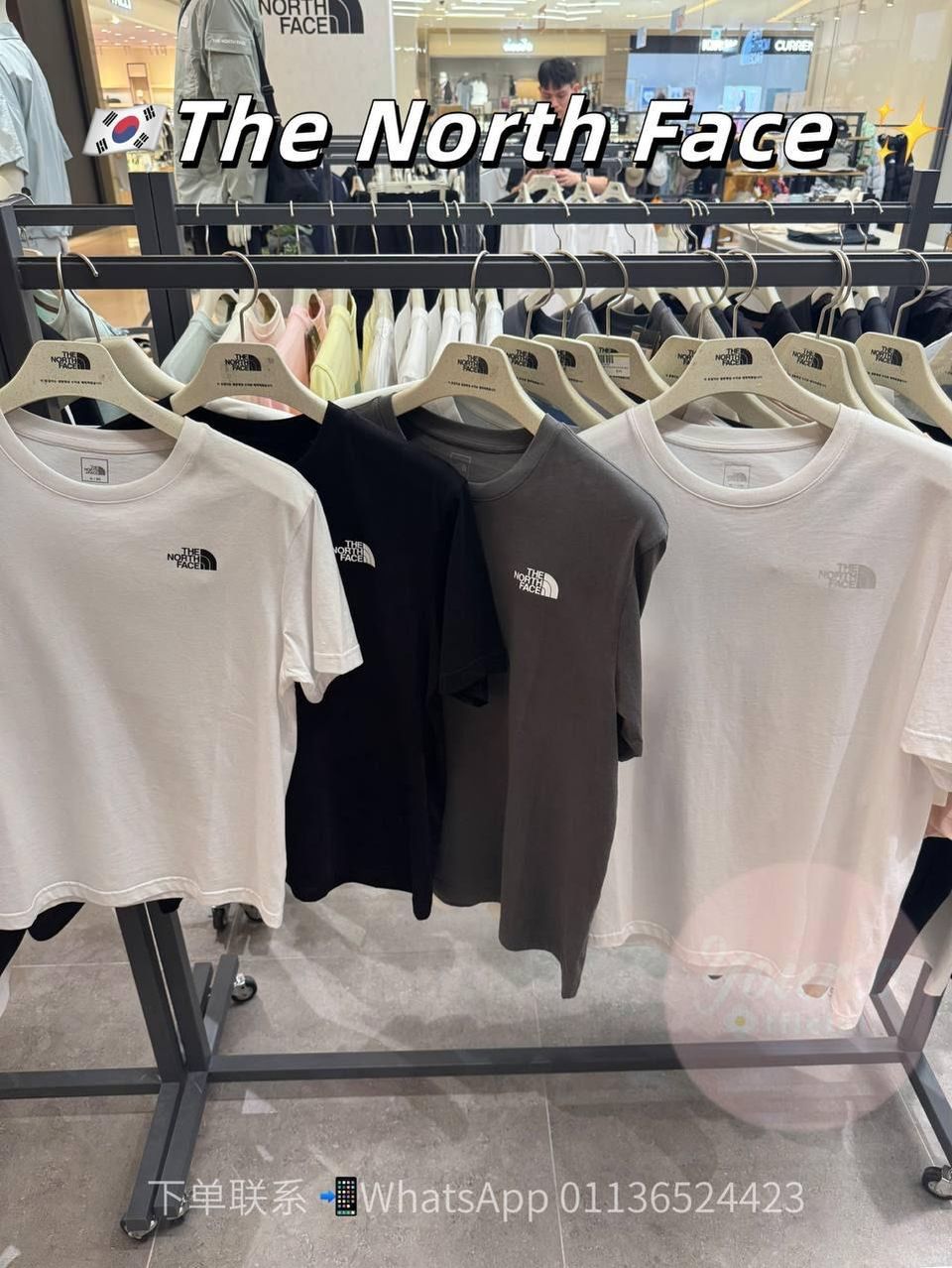 The North Face 1