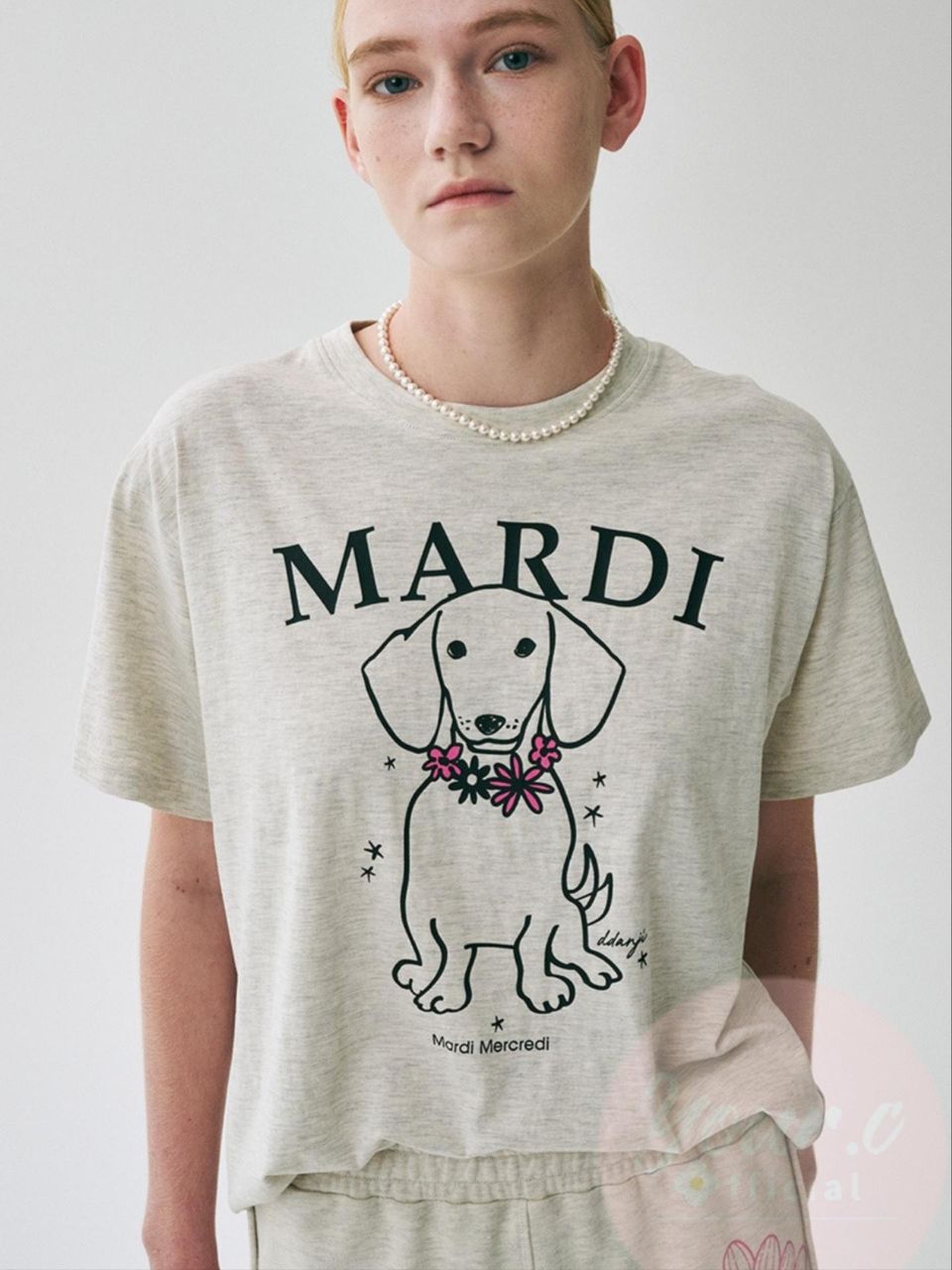 Mardi 小狗 1